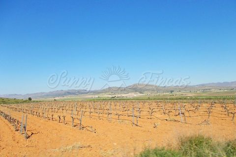 Farm hus i Yecla, Murcia, Yecla - € 410.000 | Ref: SF0064 - foto 18
